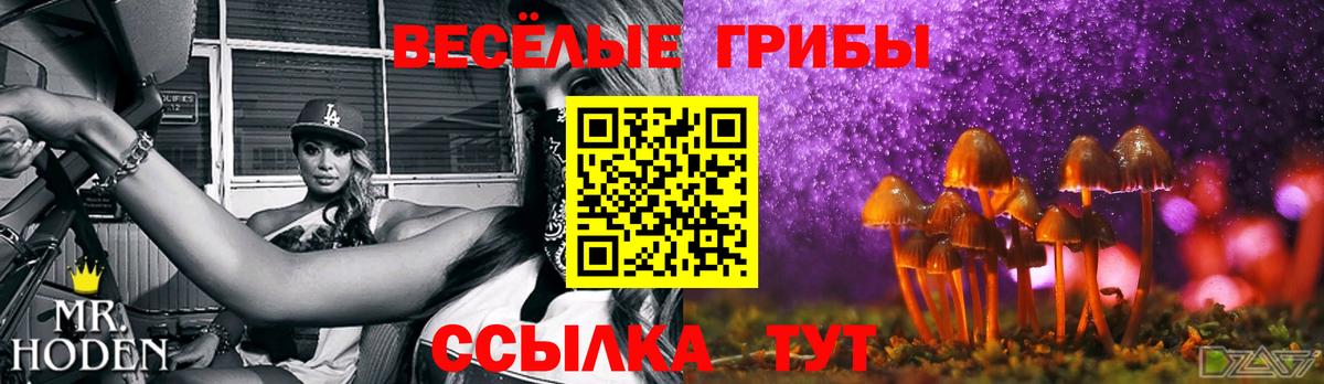 Псилоцибиновые грибы Psilocybe  Вход с VPN  Люберцы  Галлюциногенные грибы Psilocybe 